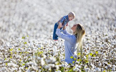 Día del Algodón – La importancia del algodón en el mundo de hoy y la economía